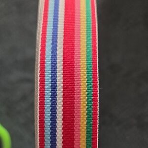 Colorful Rainbow 1" Striped Ribbon